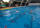 Sumate a los entrenamientos de Natación