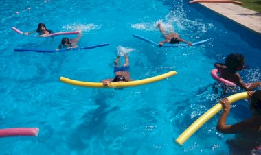 Colonia Municipal en el Anexo