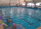 Súmate a las actividades de la PileCAF