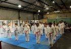 Taekwondo despidió el año con graduaciones