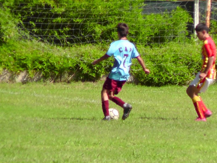 Fútbol Federado en marcha